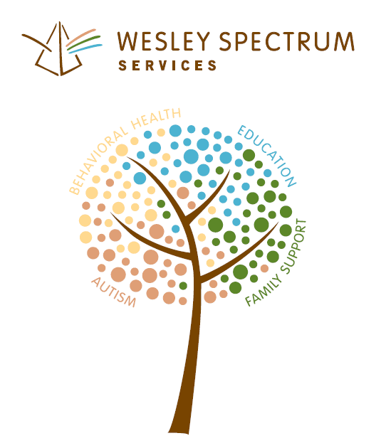 Business Plan Competition Wesley Spectrum Services Business Plan Competition