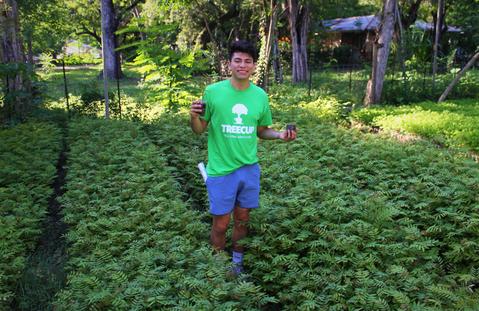 Tea, Trees, & Giving Back: Mark Sotomayor Student Spotlight
